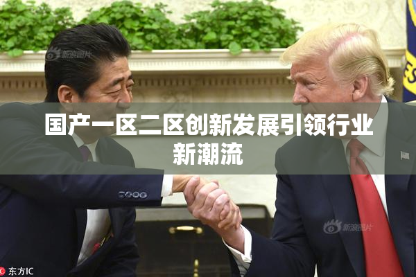 国产一区二区创新发展引领行业新潮流