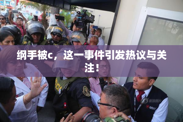 纲手被c，这一事件引发热议与关注！