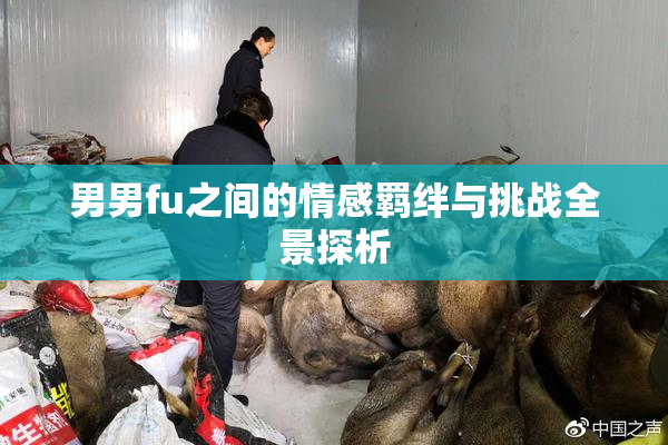 男男fu之间的情感羁绊与挑战全景探析