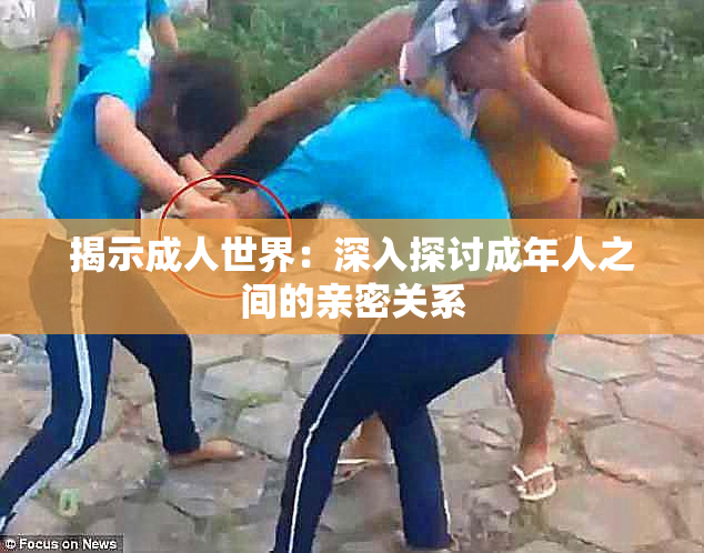 揭示成人世界：深入探讨成年人之间的亲密关系
