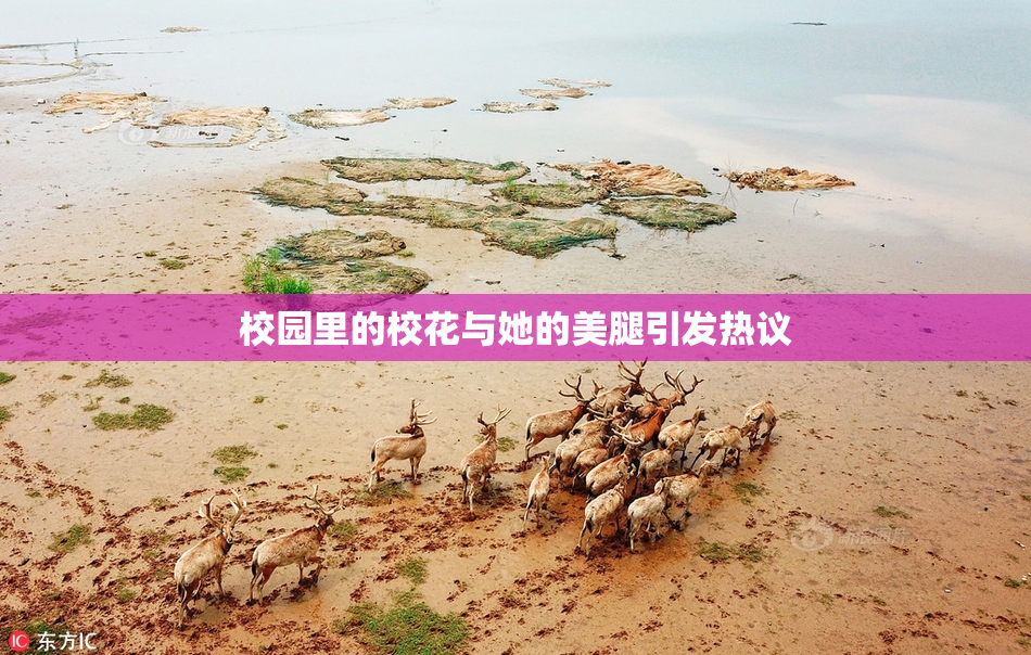 校园里的校花与她的美腿引发热议