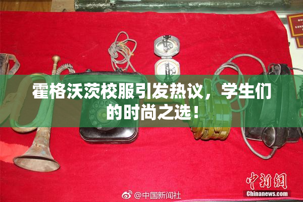 霍格沃茨校服引发热议，学生们的时尚之选！