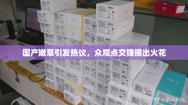 国产嫩草引发热议，众观点交锋擦出火花