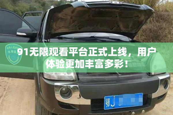 91无限观看平台正式上线，用户体验更加丰富多彩！