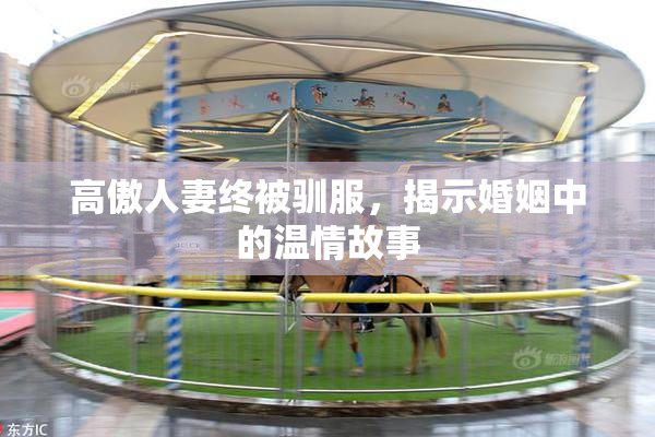 高傲人妻终被驯服，揭示婚姻中的温情故事