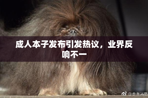 成人本子发布引发热议，业界反响不一