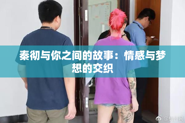 秦彻与你之间的故事：情感与梦想的交织