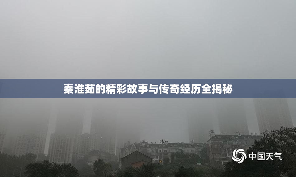 秦淮茹的精彩故事与传奇经历全揭秘