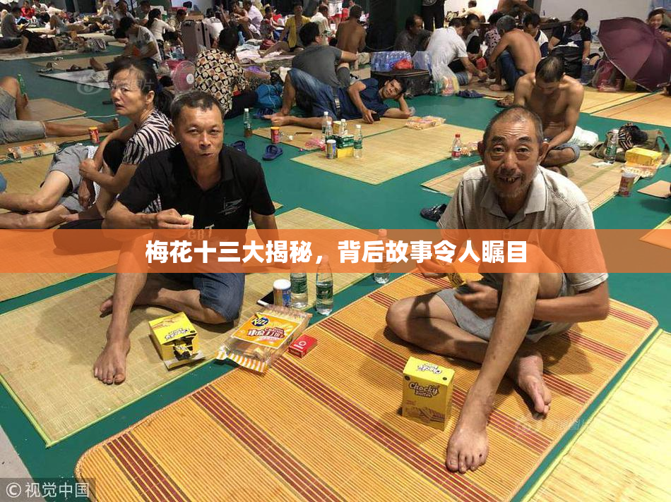 梅花十三大揭秘，背后故事令人瞩目