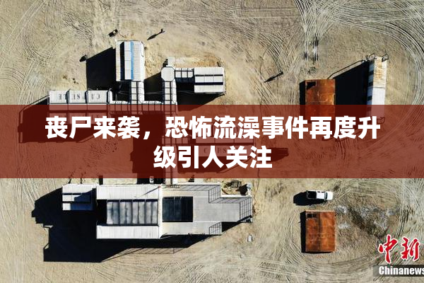 丧尸来袭，恐怖流澡事件再度升级引人关注