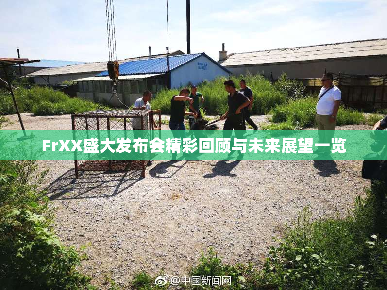 FrXX盛大发布会精彩回顾与未来展望一览