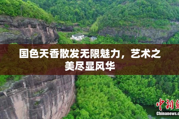 国色天香散发无限魅力，艺术之美尽显风华