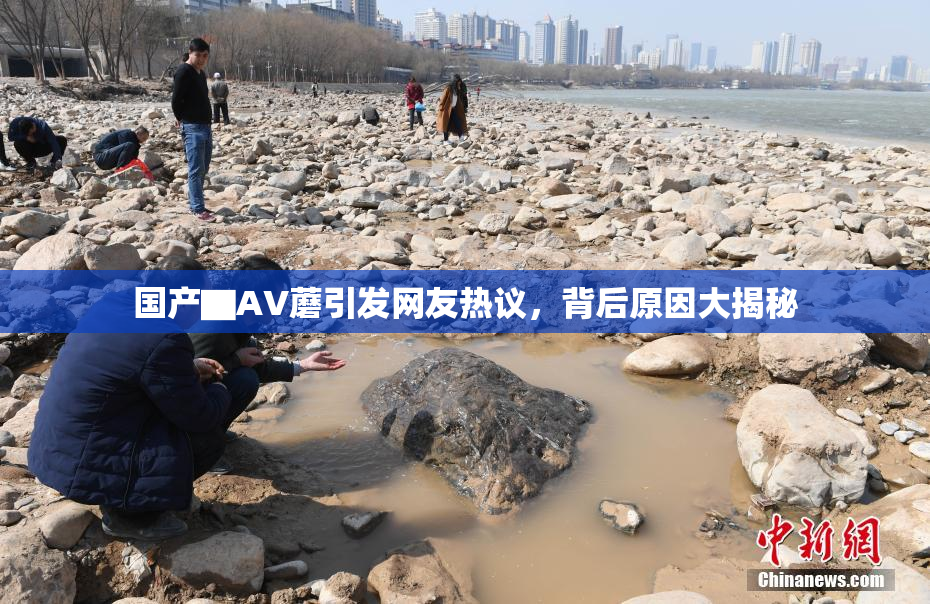 国产▇AV蘑引发网友热议，背后原因大揭秘