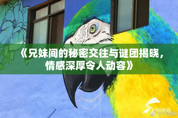《兄妹间的秘密交往与谜团揭晓，情感深厚令人动容》