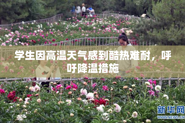 学生因高温天气感到酷热难耐，呼吁降温措施