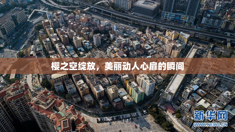 樱之空绽放，美丽动人心扉的瞬间