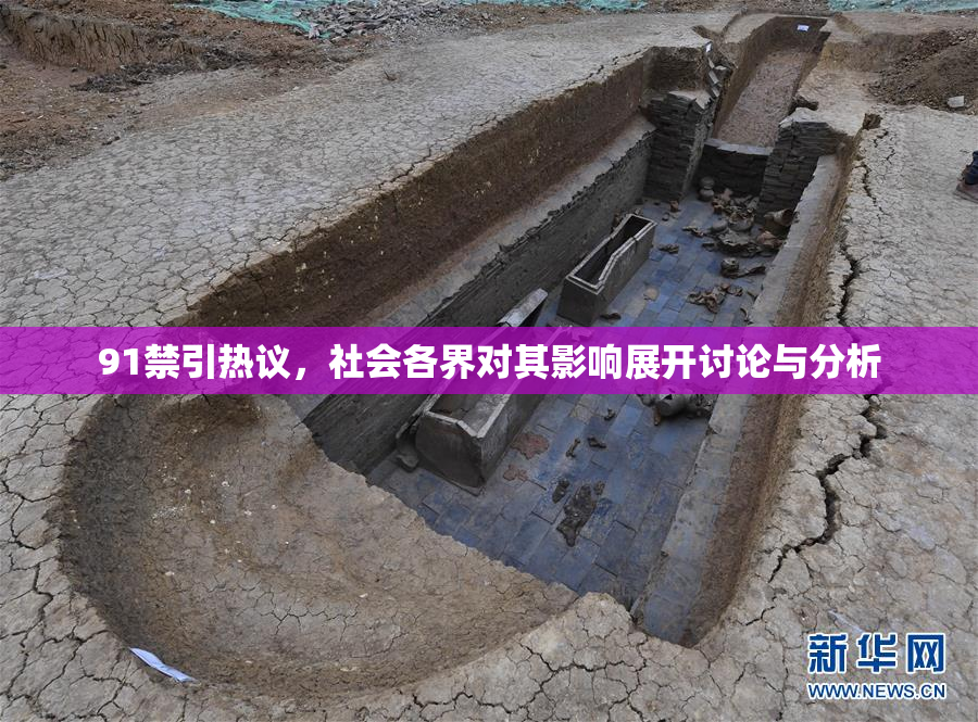 91禁引热议，社会各界对其影响展开讨论与分析