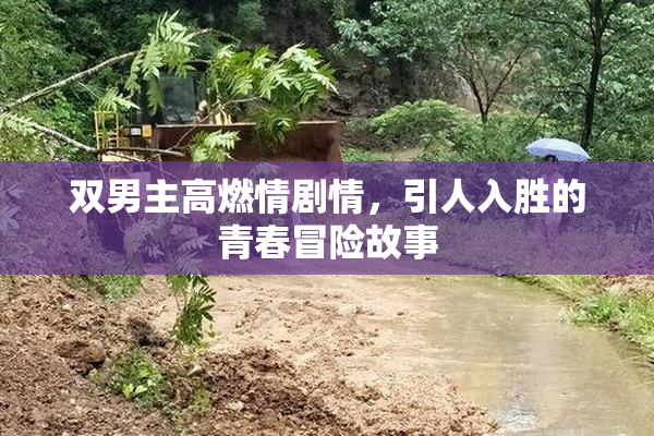 双男主高燃情剧情，引人入胜的青春冒险故事