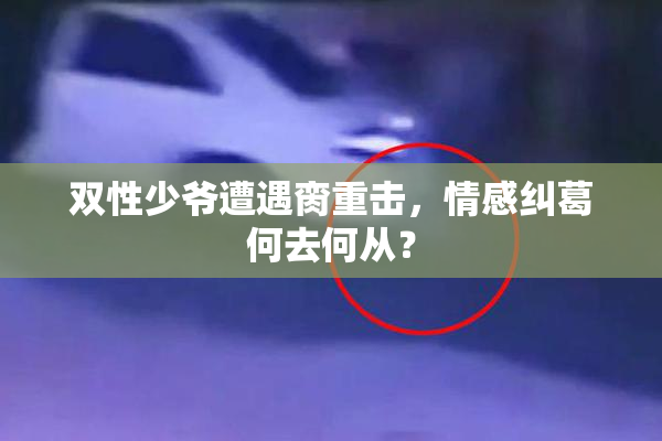 双性少爷遭遇脔重击，情感纠葛何去何从？