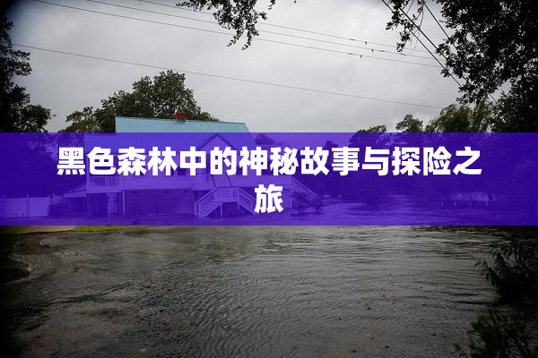 黑色森林中的神秘故事与探险之旅