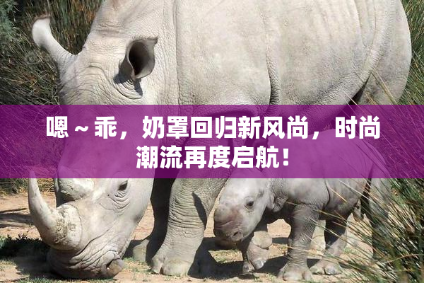 嗯～乖，奶罩回归新风尚，时尚潮流再度启航！