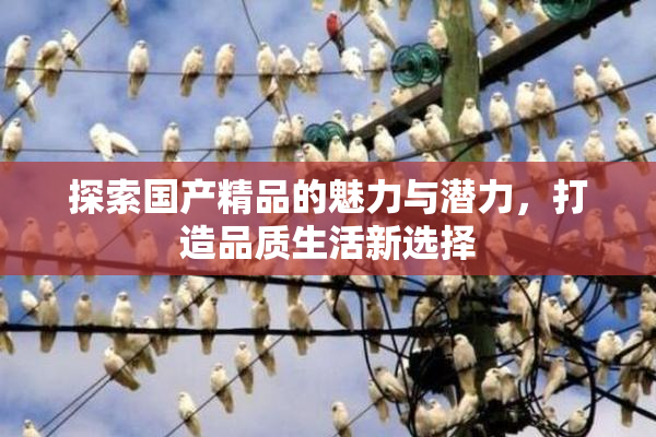 探索国产精品的魅力与潜力，打造品质生活新选择