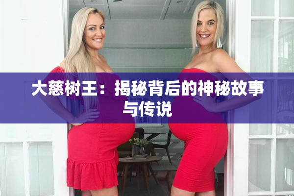 大慈树王：揭秘背后的神秘故事与传说