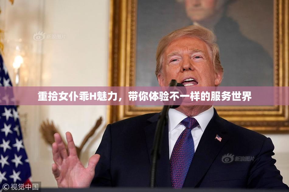 重拾女仆乖H魅力，带你体验不一样的服务世界