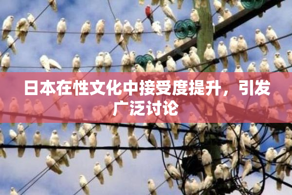 日本在性文化中接受度提升，引发广泛讨论