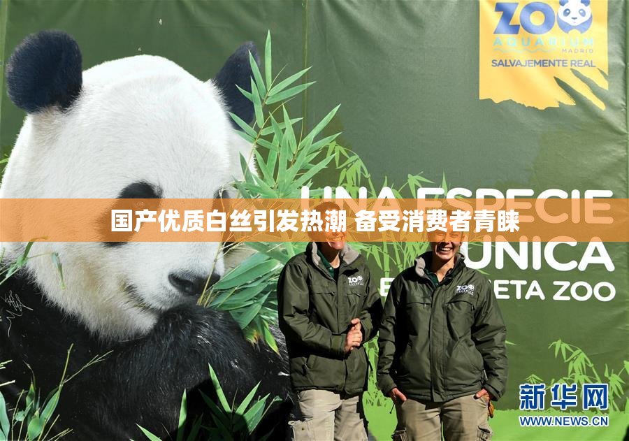 国产优质白丝引发热潮 备受消费者青睐