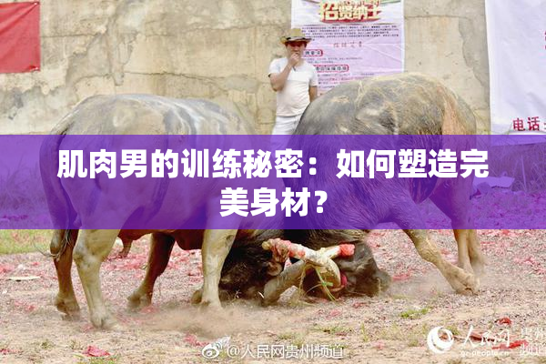 肌肉男的训练秘密：如何塑造完美身材？