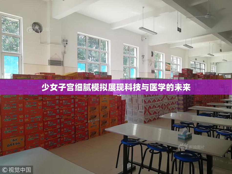 少女子宫细腻模拟展现科技与医学的未来