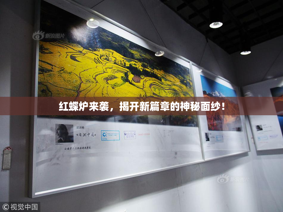 红蝶炉来袭，揭开新篇章的神秘面纱！