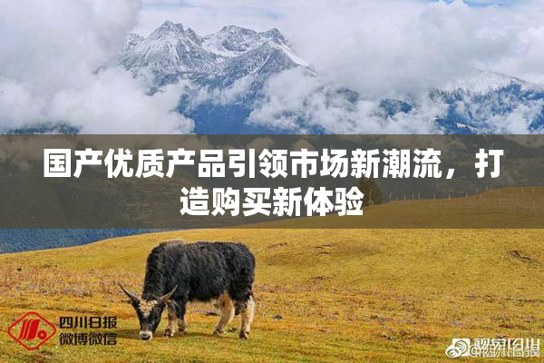 国产优质产品引领市场新潮流，打造购买新体验