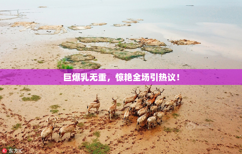 巨爆乳无重，惊艳全场引热议！
