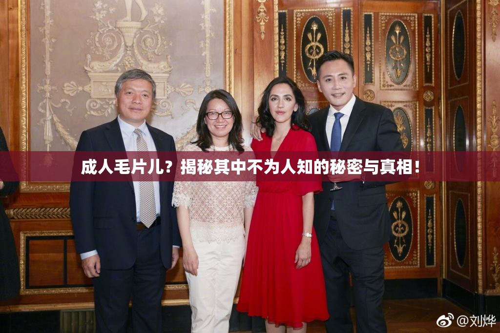 成人毛片儿？揭秘其中不为人知的秘密与真相！