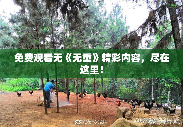 免费观看无《无重》精彩内容，尽在这里！