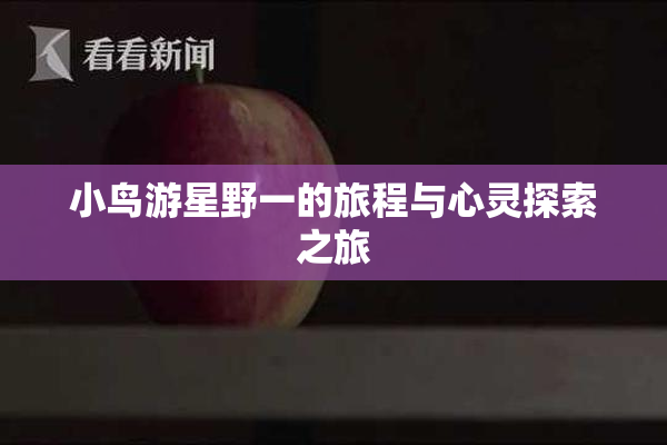 小鸟游星野一的旅程与心灵探索之旅