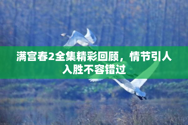 满宫春2全集精彩回顾，情节引人入胜不容错过