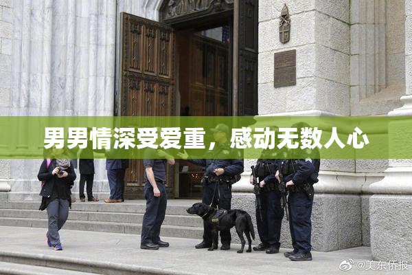 男男情深受爱重，感动无数人心