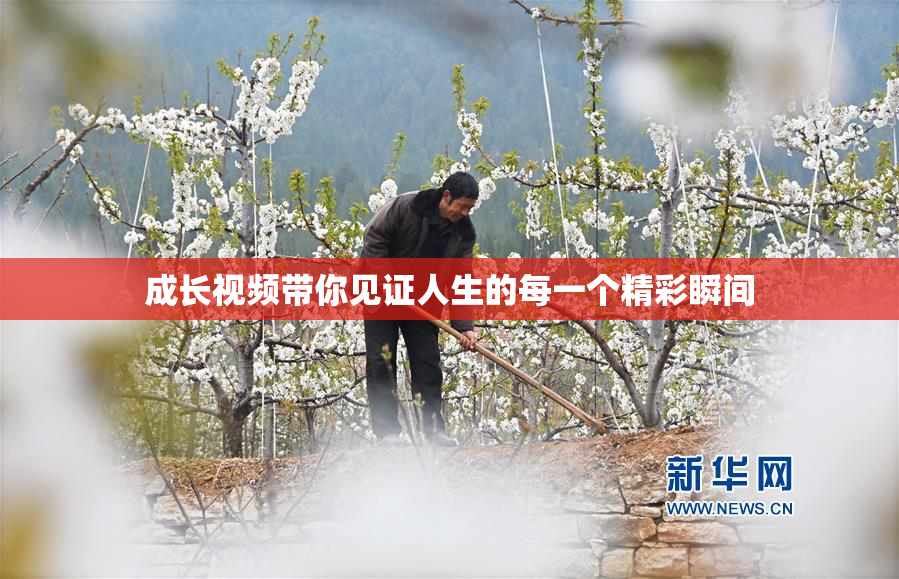 成长视频带你见证人生的每一个精彩瞬间