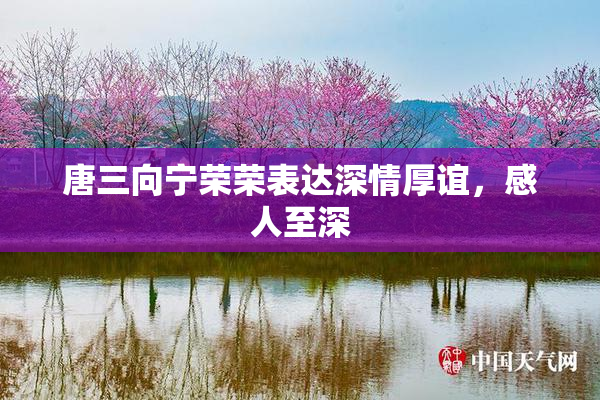 唐三向宁荣荣表达深情厚谊，感人至深