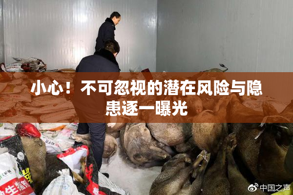 小心！不可忽视的潜在风险与隐患逐一曝光