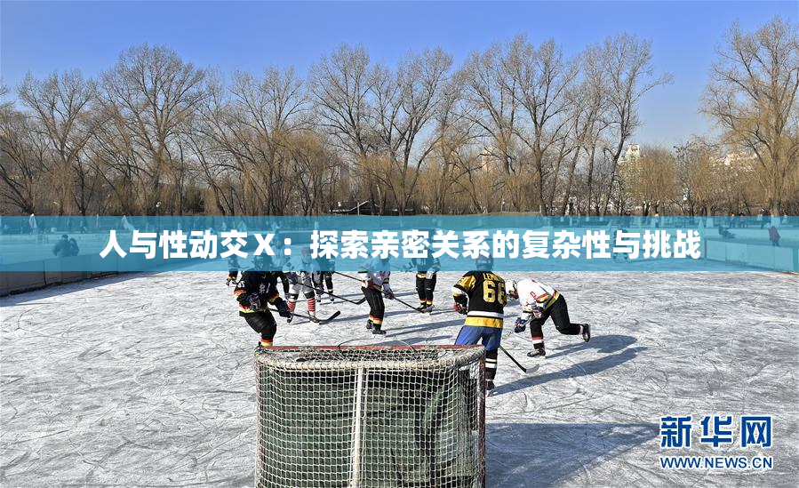人与性动交Ⅹ：探索亲密关系的复杂性与挑战