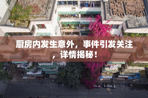 厨房内发生意外，事件引发关注，详情揭秘！