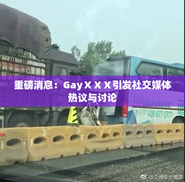 重磅消息：GayⅩⅩⅩ引发社交媒体热议与讨论