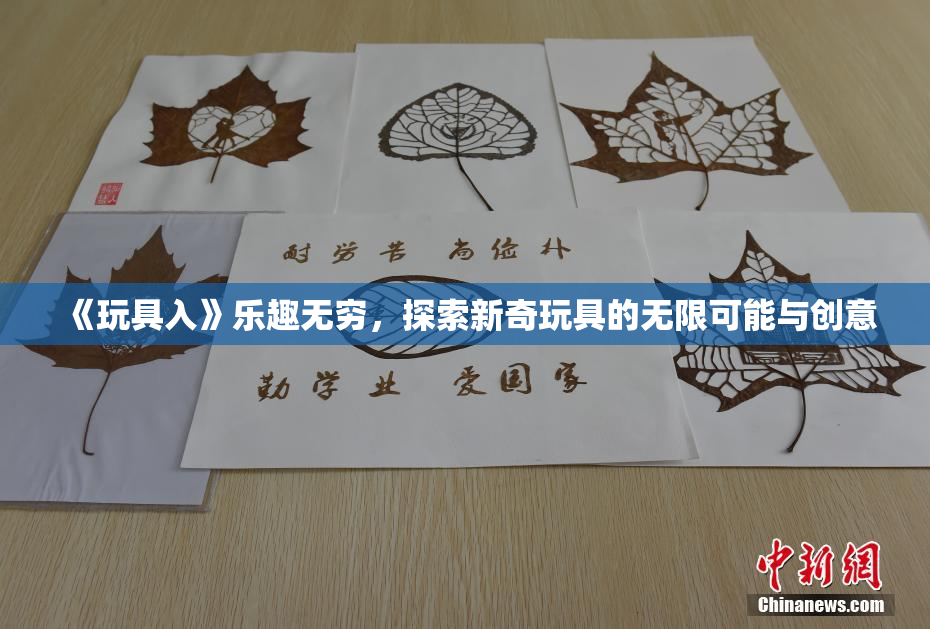 《玩具入》乐趣无穷，探索新奇玩具的无限可能与创意