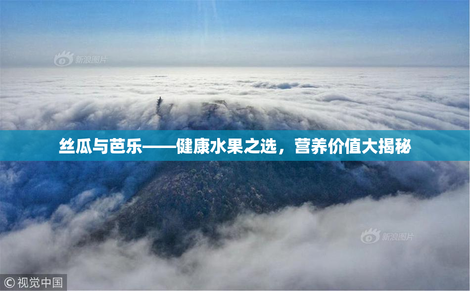 丝瓜与芭乐——健康水果之选，营养价值大揭秘