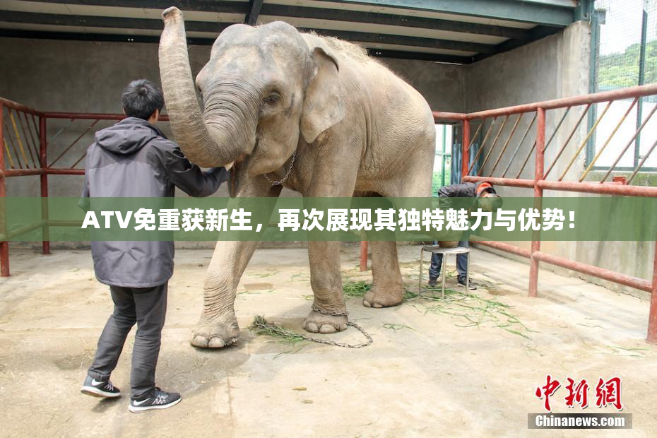 ATV免重获新生，再次展现其独特魅力与优势！