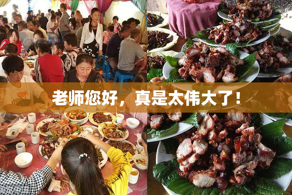 老师您好，真是太伟大了！